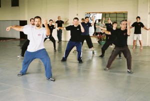 tai chi for beginners