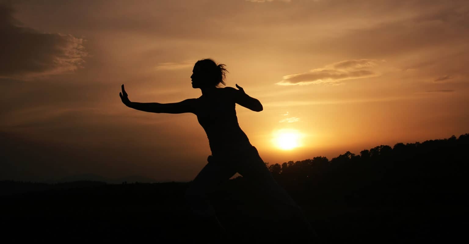 Tai Chi Classes Online: The Martial Arts Side Of Tai Chi Training